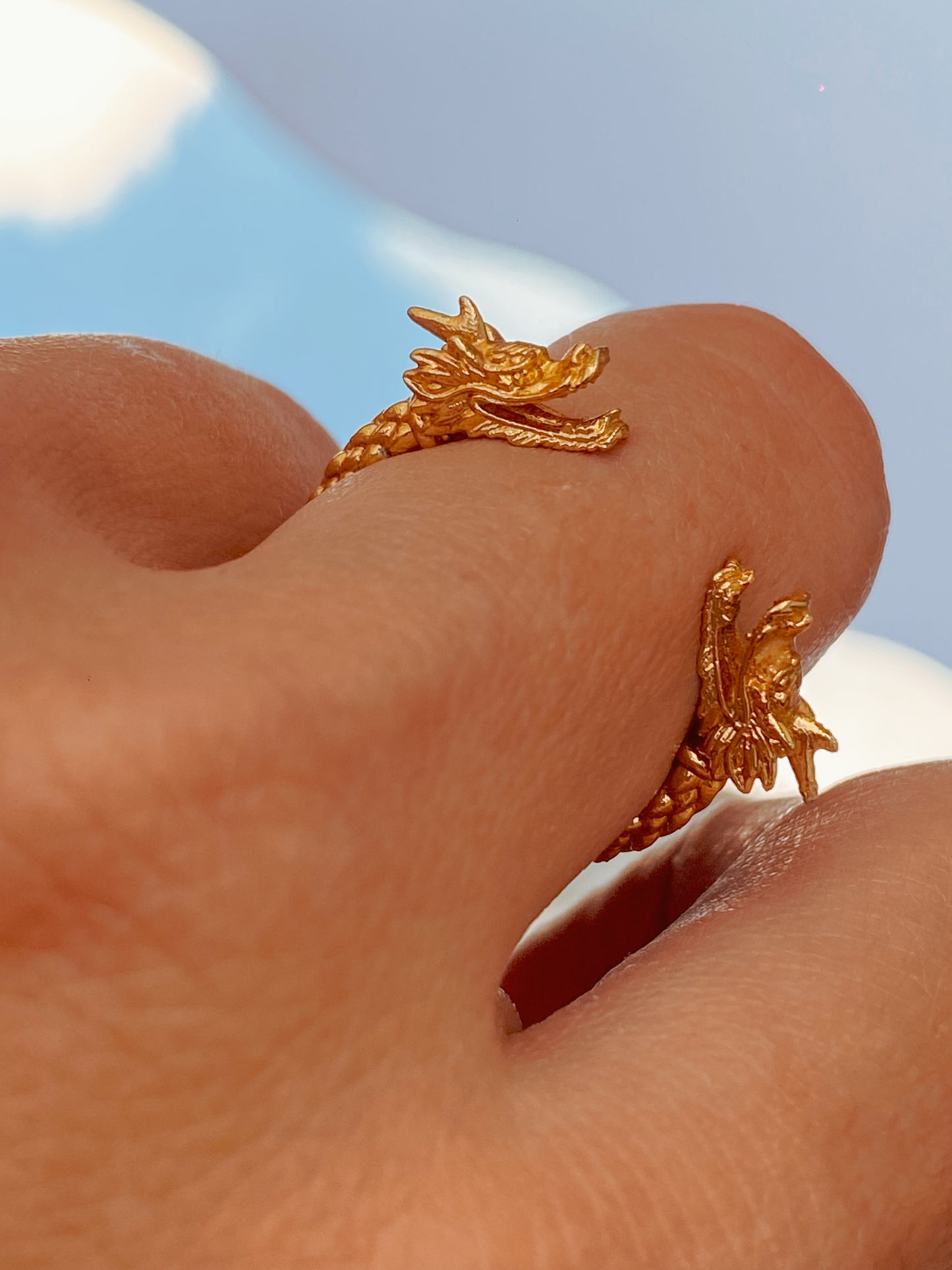 Anillo Dragons